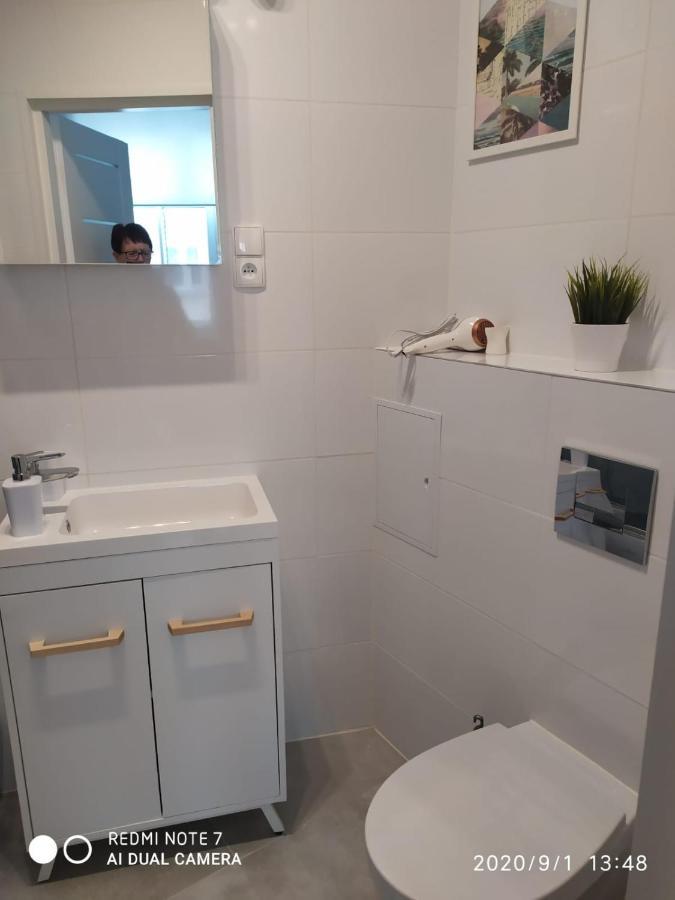 Herman View Apartment Grudziądz Dış mekan fotoğraf